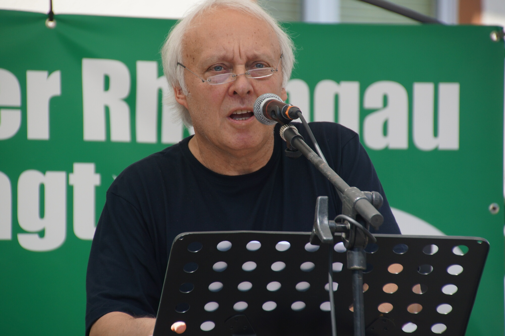 Stephanshausen DEMO Windwahn-20140719DSC08239.jpg
